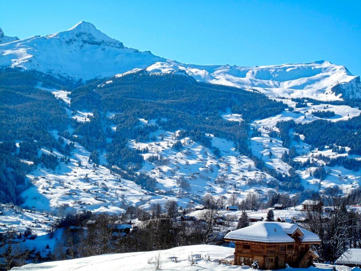 Apartment Chalet Smaragd Grindelwald Extérieur photo