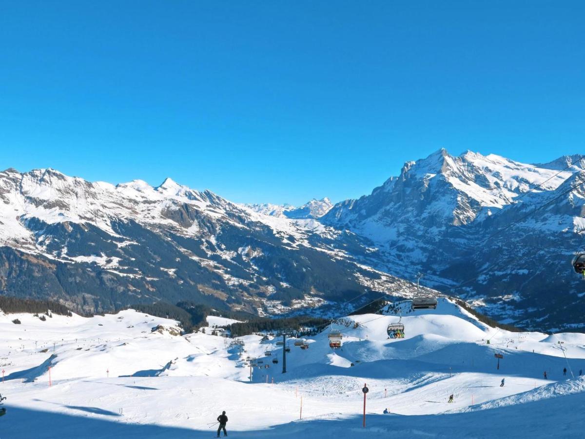 Apartment Chalet Smaragd Grindelwald Extérieur photo