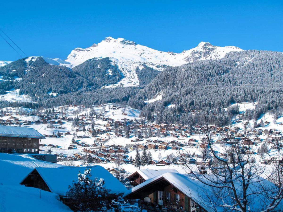 Apartment Chalet Smaragd Grindelwald Extérieur photo